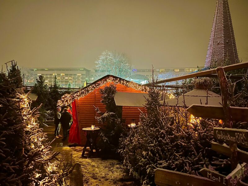 Öffentliche Adventsführung_Winterwald