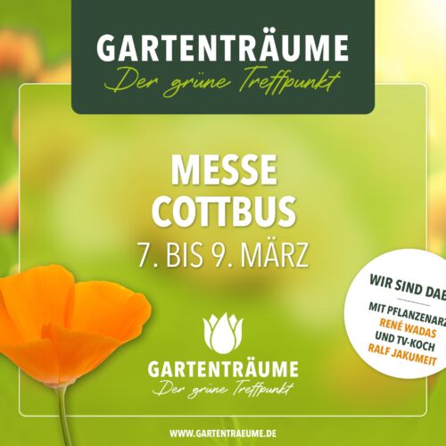 Bild: Gartenträume - 7. März 25