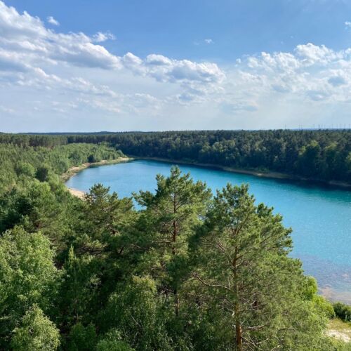 Bild: Geführte Radtour zum Felixsee - 12. Juli 25